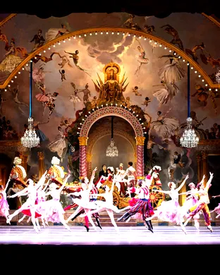 Boston Ballet Ballet show