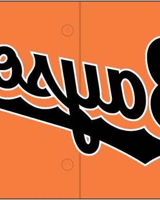 Chesapeake Baysox Baseball event