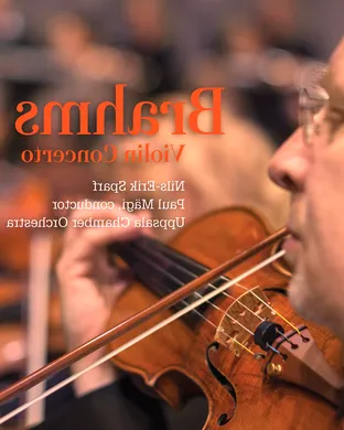 Brahms Classical concert