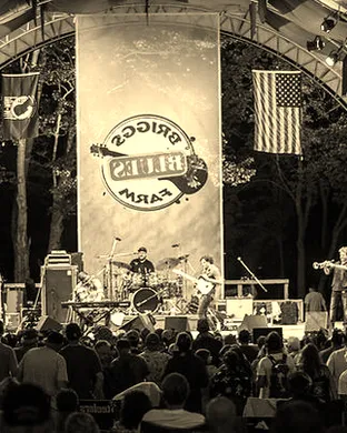 Briggs Farm Blues Festival Festival concert