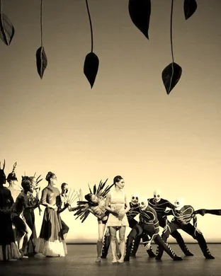 Broken Wings - Ballet Ballet show