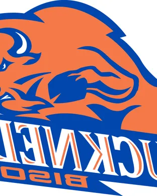 Bucknell Bison Baseball event