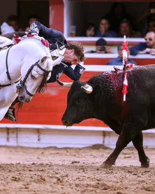 Bull Riding Challenge and Bull Fighting Rodeo event