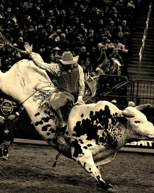 Bull Riding Rodeo event
