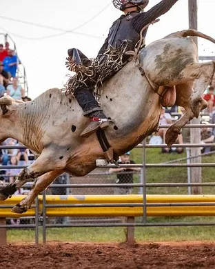 Bullride Mania Rodeo event