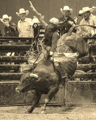 Bulls and Bands Rodeo event