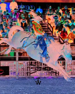 Bulls and Broncs Rodeo event