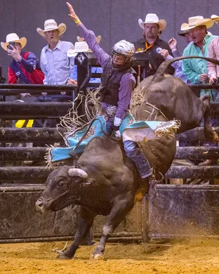 Bulls, Bands And Barrels Country concert