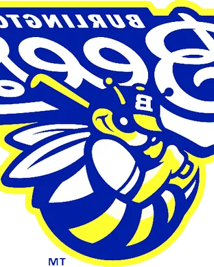 Burlington Bees Baseball event