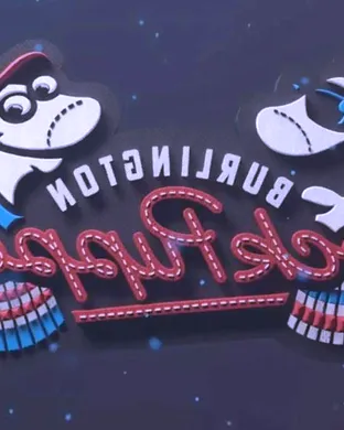Burlington Sock Puppets Baseball event