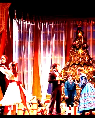 Butler Ballet Ballet show
