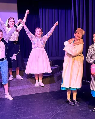 Bye Bye Birdie  Musical show
