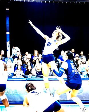 BYU Cougars Volleyball Volleyball event