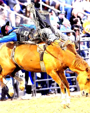 Cache County Rodeo Rodeo event