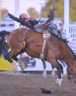 Caldwell Night Rodeo Rodeo event
