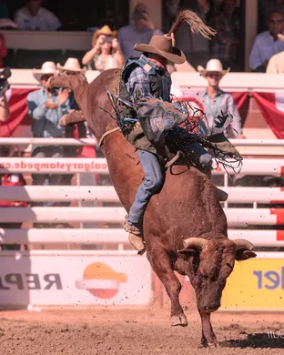 Calgary Stampede Rodeo Rodeo event