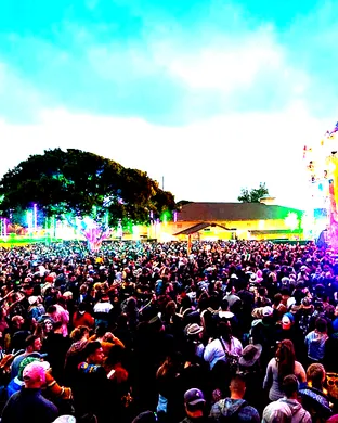 California Roots Festival Festival concert
