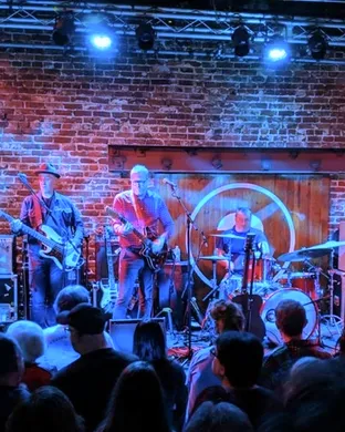 Camper Van Beethoven Alternative concert