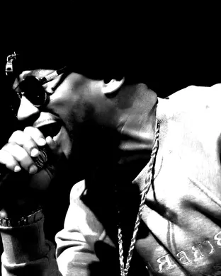 Cam'ron Festival concert