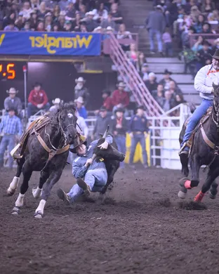 Canadian Finals Rodeo Rodeo event