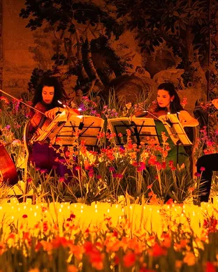 Candlelight Spring Other concert