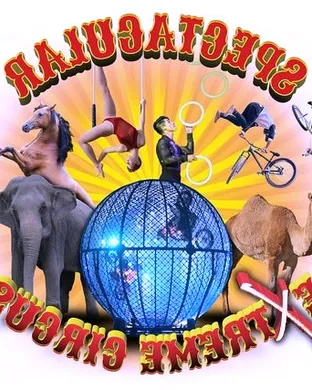 Carden International Circus Spectacular Circus concert
