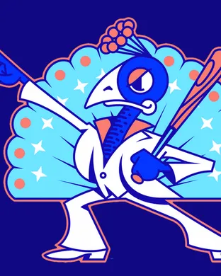 Carolina Disco Turkeys Baseball event