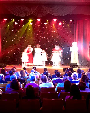 Cats Jr Children show