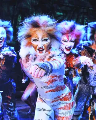 Cats - The Musical Rap concert