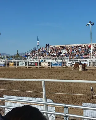 Cave Creek Rodeo Rodeo event