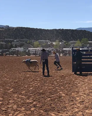 Cedar Park Rodeo Rodeo event