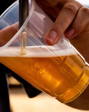 Charleston Beer Fest Fairs concert