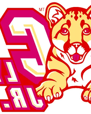 Charleston Cougars