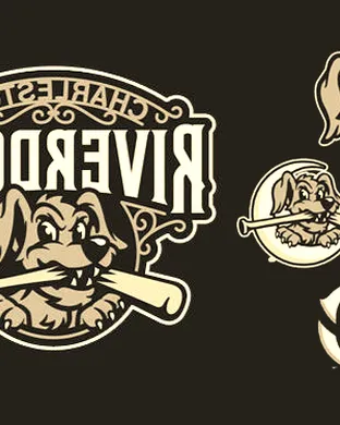 Charleston RiverDogs Baseball event