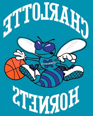 Charlotte Hornets Basketball event