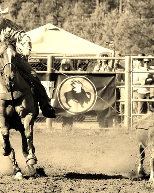 Cheney Rodeo Rodeo event