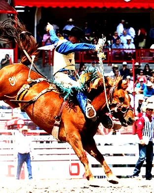 Cheyenne Frontier PRCA Rodeo Rodeo event