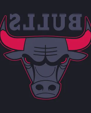 Chicago Bulls Other concert