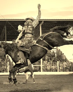 Chief Joseph Days Rodeo Rodeo event
