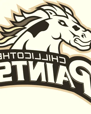 Chillicothe Paints Baseball event