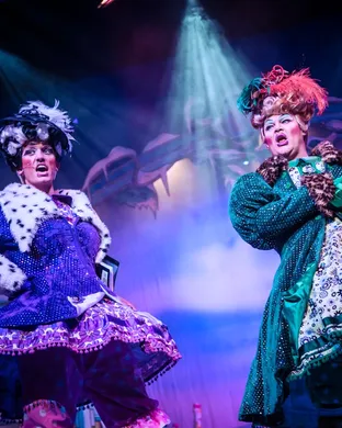 Cinderella - Opera Ballet show