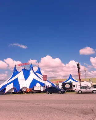 Circus Delman Circus concert
