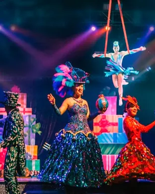 Cirque Dreams Other show