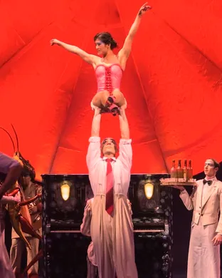 Cirque du Soleil - Luzia Cirque show