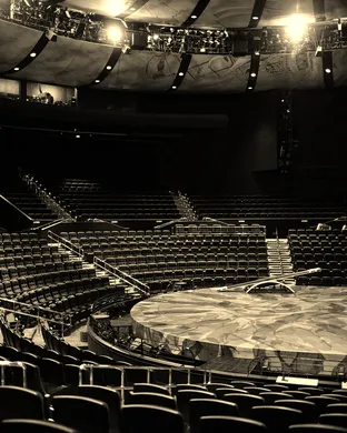 Cirque du Soleil - Mystere Las show