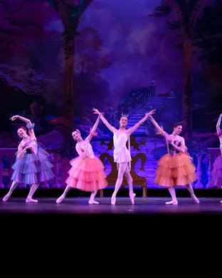 Cleveland Ballet Ballet show
