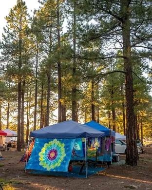 Coconino Campout Festival concert
