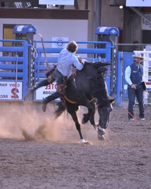 Cody Nite Rodeo Rodeo event