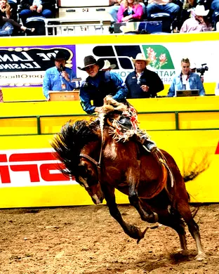 College National Finals Rodeo Rodeo event