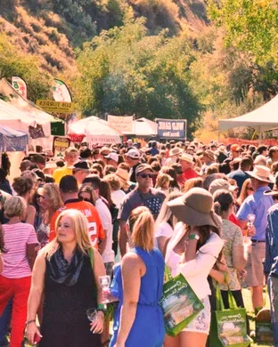 Colorado Mountain Winefest Fairs concert